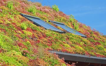 Fonmon living roof systems